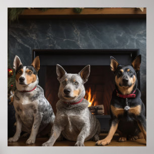 Australische Rinder am Kamin Weihnachten Poster