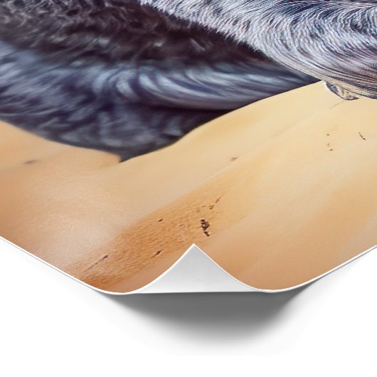 Australische Rinder am Strand, Hunde liebt Sommerg Poster (Ecke)