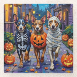 Australische Rinder an Halloween beim Süßigkeitenb Glasuntersetzer