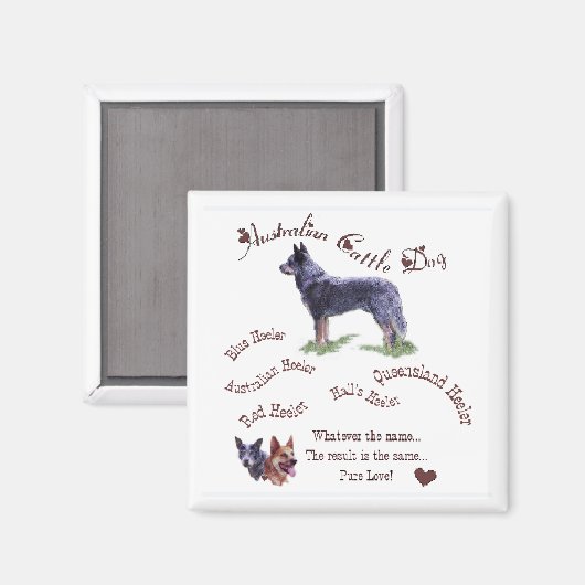 Australische Rinder-Hunde-Geschenke Magnet (Vorderseite/Rückseite)