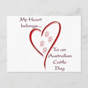 Australische Rinder-Hunde-Herz-Belongs Postkarte