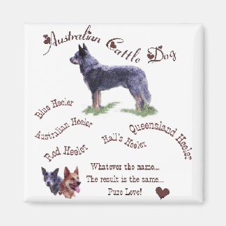 Australische Rinder Hunde Kunstgeschenke Magnet