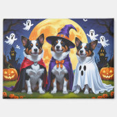 Australische Rinder Hunde Pumpkin Halloween Funny Magnet (Vorderseite)