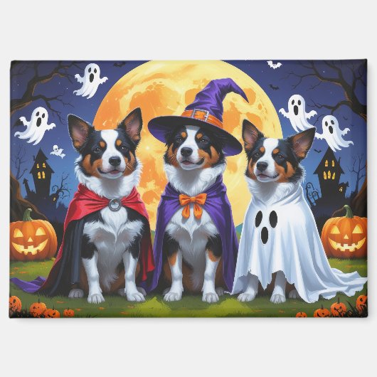Australische Rinder Hunde Pumpkin Halloween Funny Magnet (Vorderseite)
