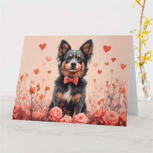 Australische Rinder mit Rose - Valentinstag Karte