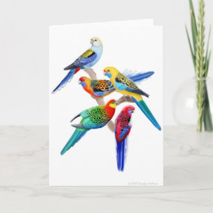 Australische Rosella Parrots Card Feiertagskarte