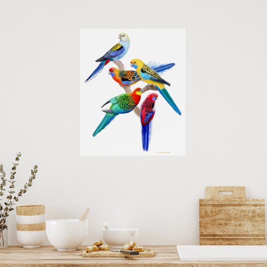 Australische Rosella Parrots Print Poster (Küche)