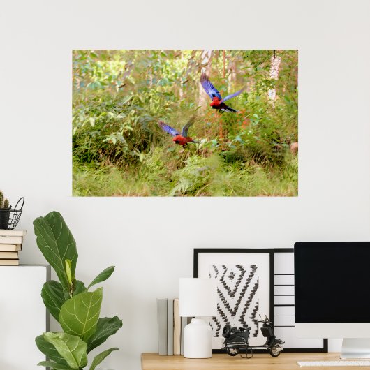 Australische Rosellas Poster (Heimbüro)