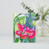 Australische Rot Blütengummi Aquarellkunst Postkarte (Stehend Vorderseite)