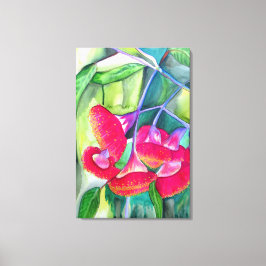 Australische Rote Blüte Gumnut Aquarellkunst Leinwanddruck