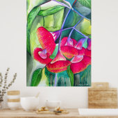 Australische Rote Blüte mit Nüssen Aquarell Kunst Poster (Küche)