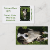 Australische Schäfer-Foto-Geschäfts-Karte Visitenkarte (Vorne/Hinten)