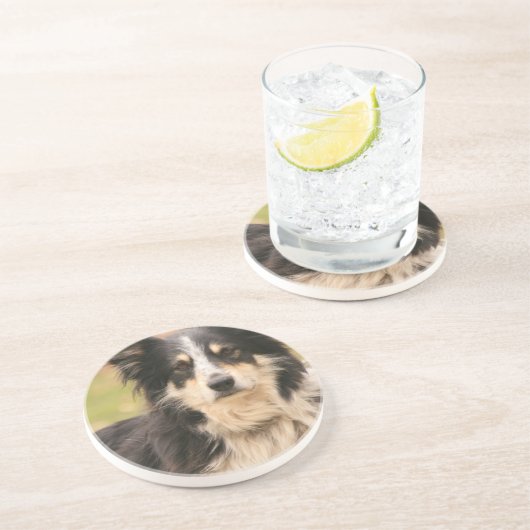 Australische Schäfer-Untersetzer Untersetzer (Seite)