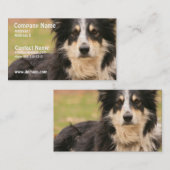 Australische Schäfer-Visitenkarte Visitenkarte (Vorne/Hinten)