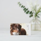 Australische Schäfer-Visitenkarten Visitenkarte (Stehend Vorderseite)