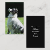 Australische Schäfer-Visitenkarten Visitenkarte (Vorne/Hinten)