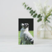 Australische Schäfer-Visitenkarten Visitenkarte (Stehend Vorderseite)