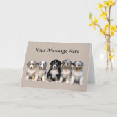 Australische Schäfer-Welpen-Gruß-Karte Karte (Gelbe Blume)