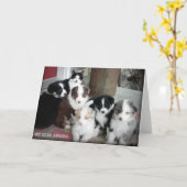 Australische Schäfer-Welpen-Gruß-Karte Karte (Gelbe Blume)