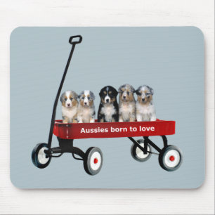 Australische Schäfer-Welpen im Lastwagen Mousepad