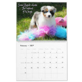 Australische Schäfer-Welpen Kalender (Feb 2027)