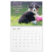 Australische Schäfer-Welpen Kalender (Mär 2027)