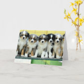 Australische Schäfer-Welpen-leere Gruß-Karte Karte (Gelbe Blume)