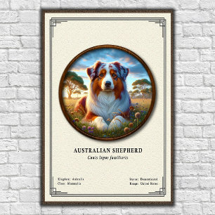 Australische Schäferhund-Zoologie-Serie Poster