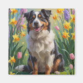 Australische Schäferhunde Dog Spring Blumen Malere Magnet (Vorne)