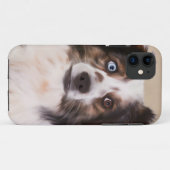 Australische Schäferhunde - Ölgemälde Case-Mate iPhone Hülle (Rückseite (Horizontal))