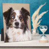 Australische Schäferhunde - Ölgemälde Fotoplatte (Seite)