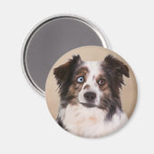 Australische Schäferhunde - Ölgemälde Magnet (Vorderseite/Rückseite)
