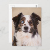 Australische Schäferhunde - Ölgemälde Postkarte (Vorne/Hinten)