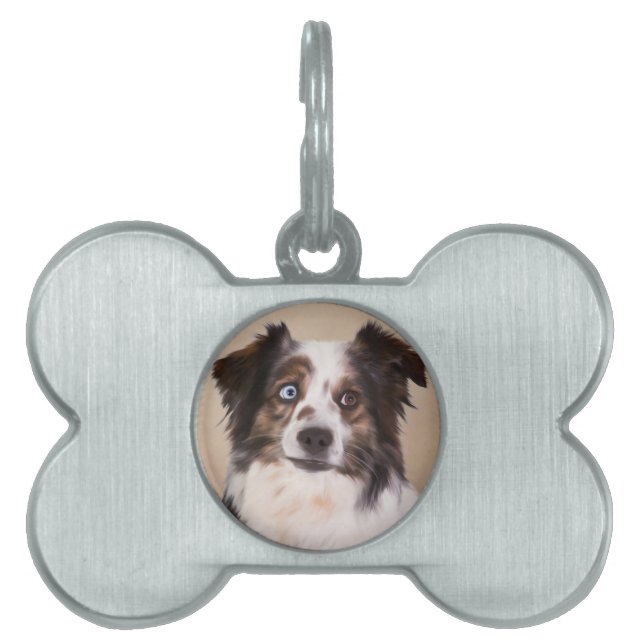 Australische Schäferhunde - Ölgemälde Tiermarke (Vorderseite)