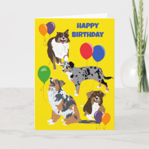 Australische Schäferhunde und Balloons zum Geburts Karte