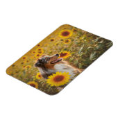Australische Schäferhunde und Sonnenblumen Magnet (Linke Seite)