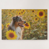 Australische Schäferhunde und Sonnenblumen Puzzle (Horizontal)