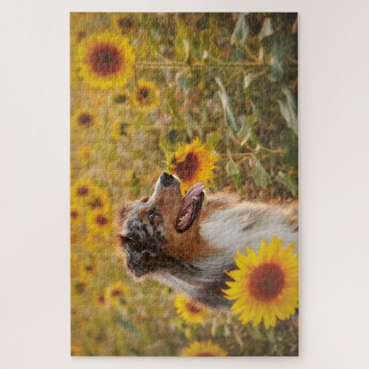 Australische Schäferhunde und Sonnenblumen Puzzle (Vertikal)