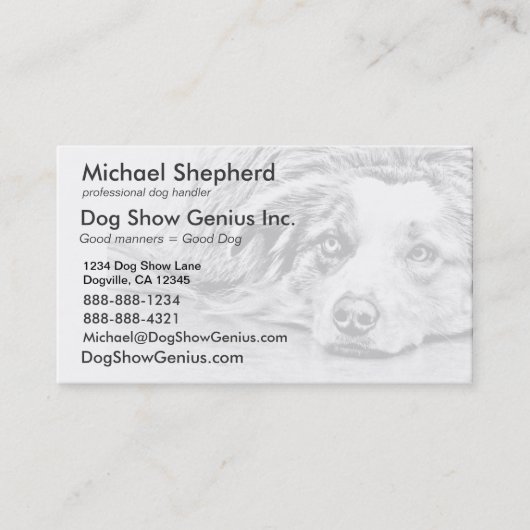 Australische Schäferhundekunst Visitenkarte (Vorderseite)