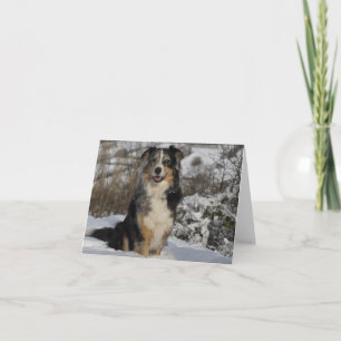Australische Schäferin Aussie Dog Liebe Karte