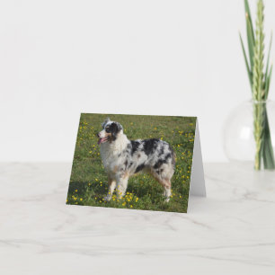 Australische Schäferin Aussie Dog Liebe Karte
