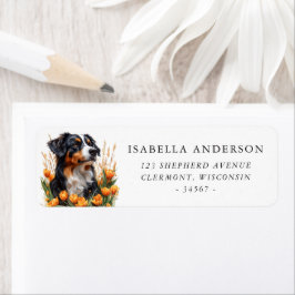 Australische Schafhirte Frühlinggelbe Tulips