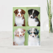Australische Shepherd Welppy Grußkarten Karte (Vorderseite)