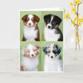 Australische Shepherd Welppy Grußkarten Karte (Gelbe Blume)