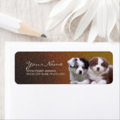 Australische Shepherden Welpen Rücksendeadresse La (Insitu)