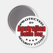 Australische Sicherheit von Rinderhunden Magnet (Vorderseite/Rückseite)