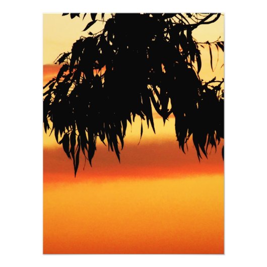 Australische Silhouette Sunset Foto (Vorne)