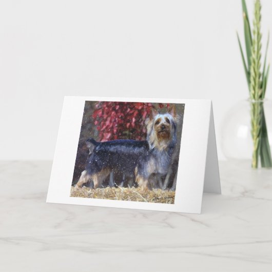 Australische Silky Terrier Dog Blank Greeting Card Karte (Vorderseite)