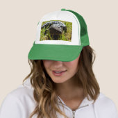 Australische Stumpy Lizard, Truckerkappe (Beispiel)