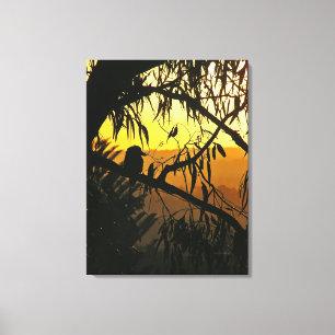 Australische Sunset Kookaburra Silhouette Wrapped Leinwanddruck